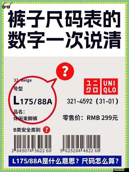 亚洲尺码欧洲尺码内射：尺码的秘密与争议