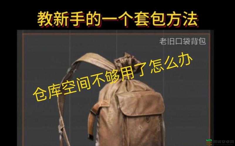 暗区突围游戏攻略，深度解析野战登山包套包技巧与策略